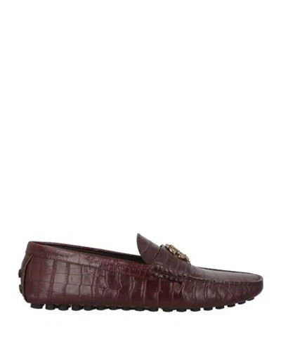 Roberto Cavalli Cocco Woven Croc Embossed Driving Loafer In Brown
