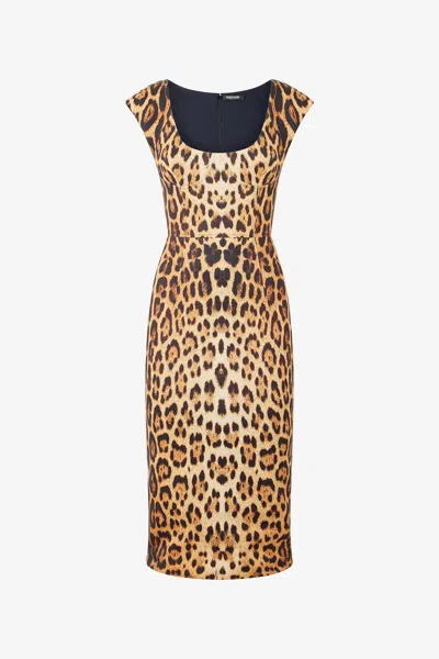 Roberto Cavalli Midi Dress With Jaguar Skin Print In Brown