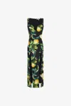 Roberto Cavalli Midi Dress With Lemon Print In Black