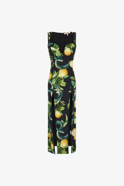 Roberto Cavalli Midi Dress With Lemon Print In Black