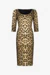 Roberto Cavalli Leopard Print Midi Dress In Brown