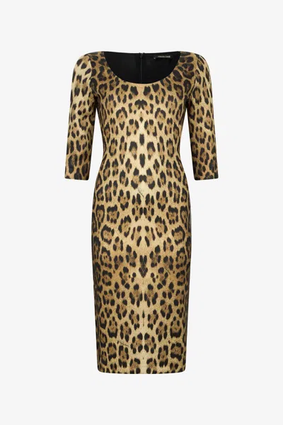 Roberto Cavalli Leopard Print Midi Dress In Brown