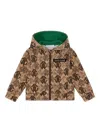 Roberto Cavalli Monogram-logo Hoodie In Brown