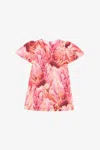Roberto Cavalli Plumage Print Dress In Fuchsia