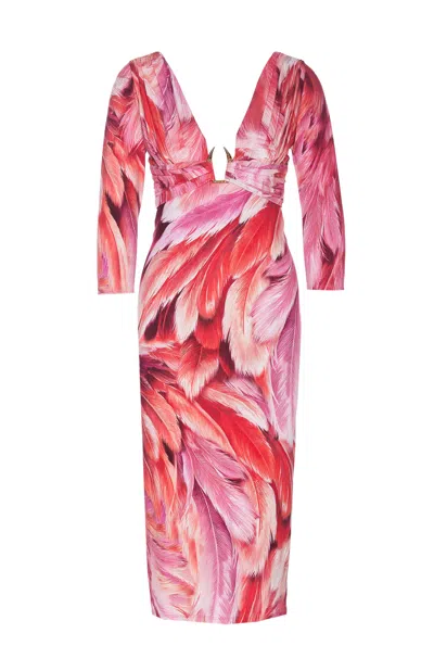 Roberto Cavalli Plumage Print Dress In Pink