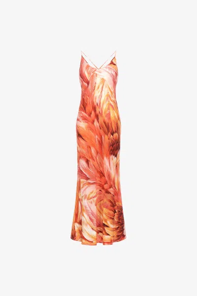 Roberto Cavalli Plumage Print Long Dress In Orange