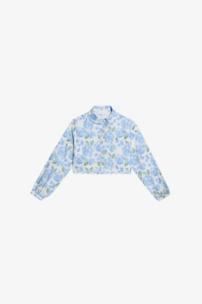 Roberto Cavalli Plumago Print Cotton Shirt In Blue