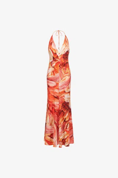 Roberto Cavalli Plumange Print Maxi Dress In Orange
