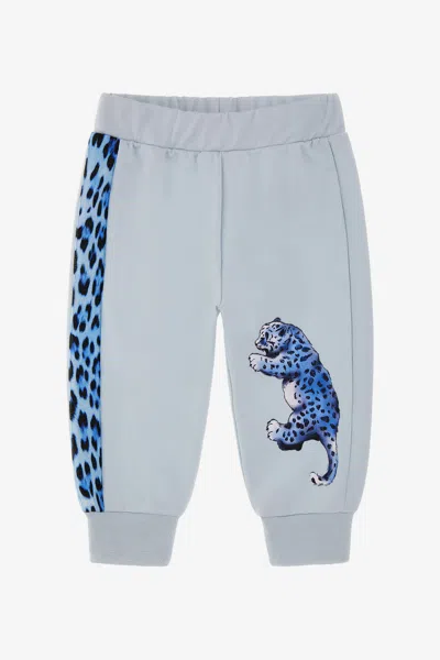Roberto Cavalli Printed Pants In Light Blue