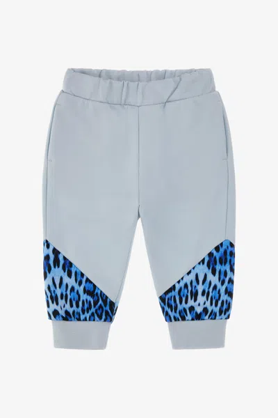 Roberto Cavalli Printed Pants In Light Blue