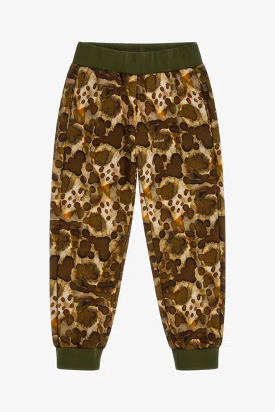 Roberto Cavalli Printed Pants In Light Brown
