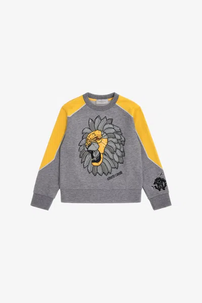 Roberto Cavalli Printed Sweatshirt In Gray