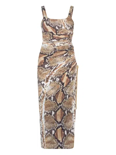 Roberto Cavalli Printed Nylon Blend Midi Dress In Brown