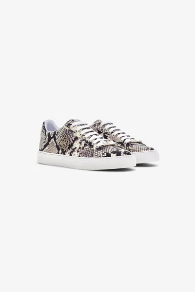 Roberto Cavalli Python Print Sneakers In Print Python/python