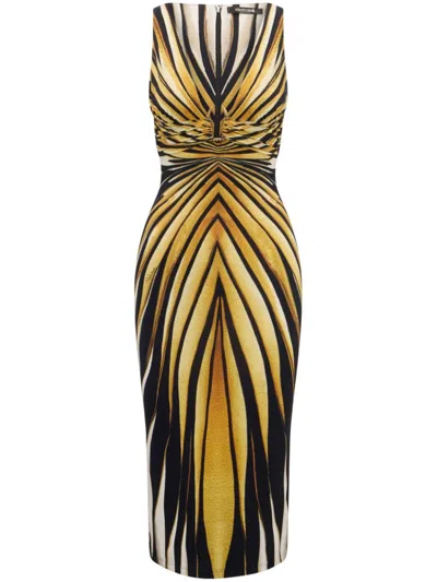 Roberto Cavalli Ray Of Gold Print Midi Dress