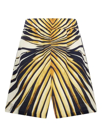 Roberto Cavalli Ray Of Gold Print Shorts In Multi