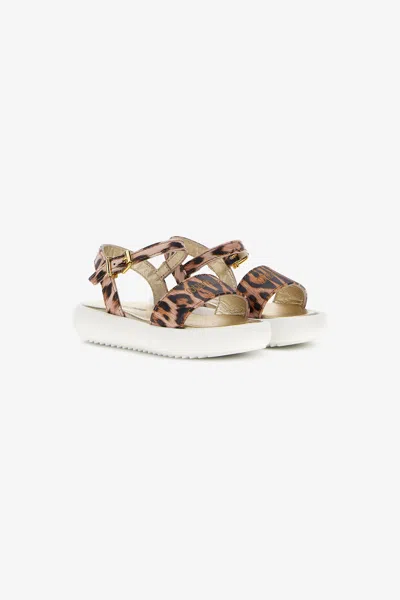 Roberto Cavalli Rc Logo Sandals In Brown