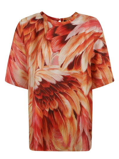 Roberto Cavalli Rear Keyhole Feather Print T-shirt In Multicolor
