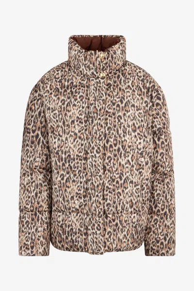 Roberto Cavalli Reversible Leopard Print Puffer Jacket In Multi