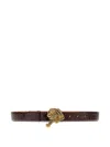Roberto Cavalli Belt With Gold Buckle In Brown