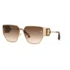 Roberto Cavalli Src092 0300 In Brown