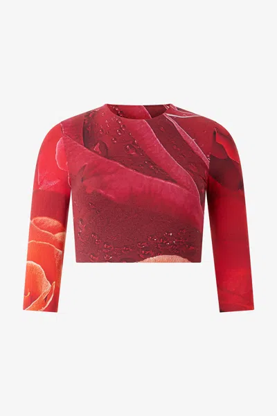 Roberto Cavalli Rose-print Crop Top In Rosso