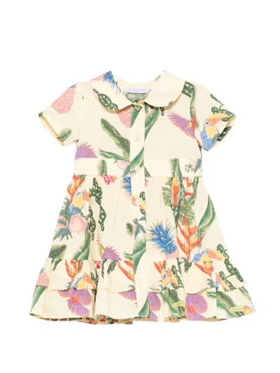 Roberto Cavalli Babies' Ruffled Tropical-print Casual Dress In Multi