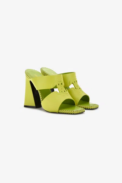 Roberto Cavalli Sandals With Monogram Mirror Snake In Light Green