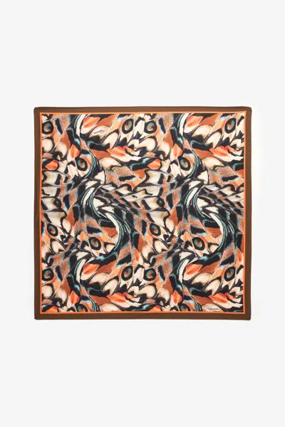 Roberto Cavalli Scarf With Butterfly Print In Multi