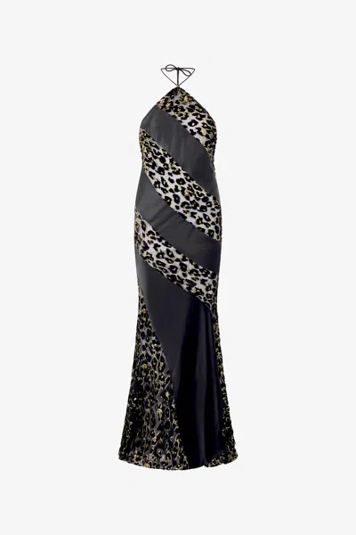 Roberto Cavalli See-through Long Dress With Animal Print In Black