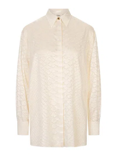 Roberto Cavalli Shirt In Pink