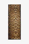 Roberto Cavalli Leopard Printed Silk Chiffon Scarf In Brown