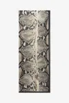 Roberto Cavalli Snake Printed Silk Chiffon Scarf In Gray