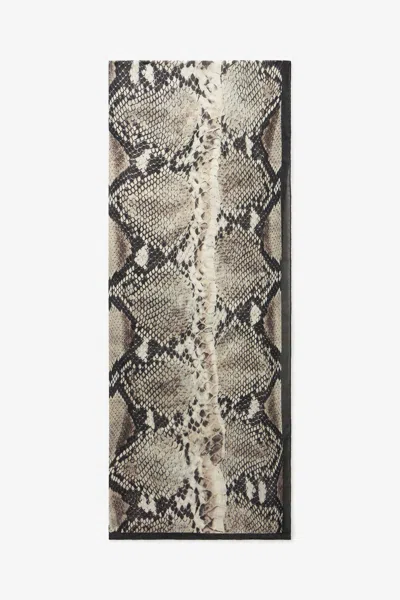 Roberto Cavalli Silk Scarf With Python Print In Brown