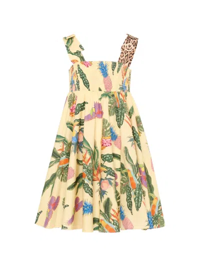 Roberto Cavalli Smocked Tropical Print Dress In Multi