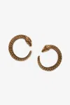 Roberto Cavalli Snake Earrings In Gold