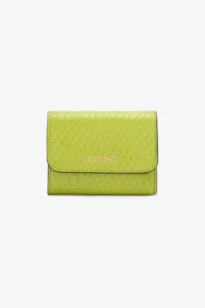 Roberto Cavalli Snake-effect Card Holder With Logo In Green