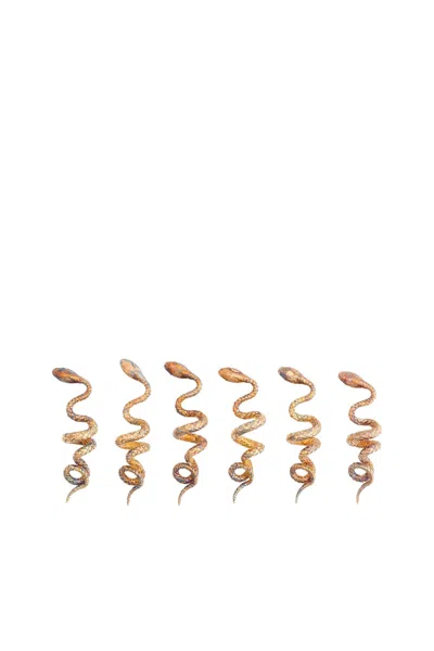 Roberto Cavalli Snake Napkin Holder Set In Gold