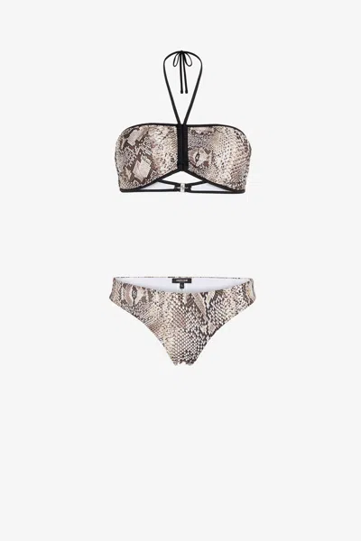 Roberto Cavalli Snake-print Bikini In Light Brown