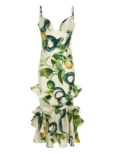 ROBERTO CAVALLI SNAKE-PRINT RUFFLED MIDI DRESS