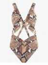 Roberto Cavalli Snake-print Swimsuit In Brown