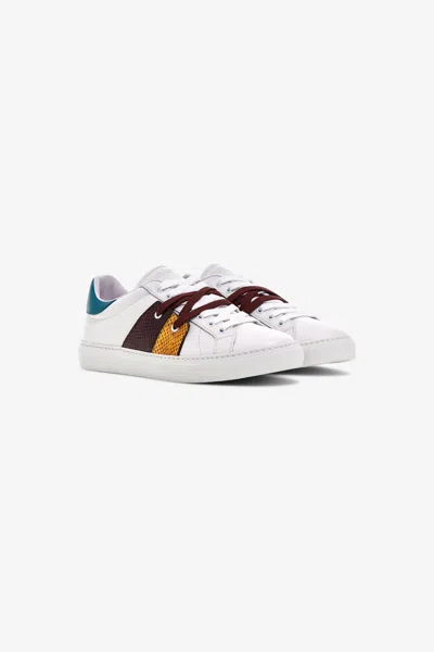 Roberto Cavalli Trainers With Central Stripe In Orange