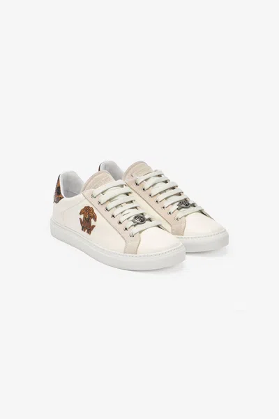 Roberto Cavalli Trainers With Python Retro And Patch In Ivory