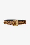 Roberto Cavalli Solid-color Belt With Bejeweled Buckle In Brown