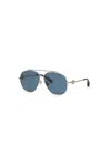 Roberto Cavalli Sunglasses Monogram Collection In Shiny Full Palladium