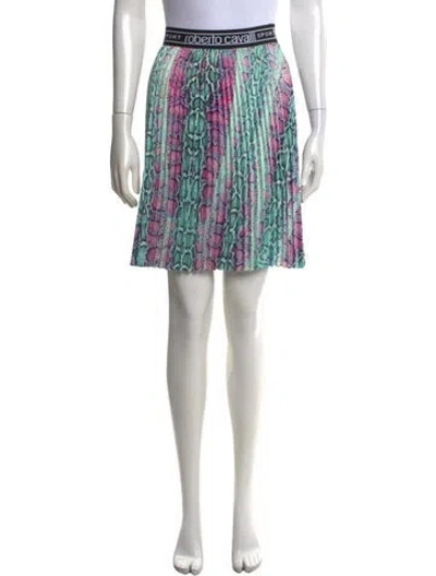 Pre-owned Roberto Cavalli Sport Animal Print Mini Skirt In Multi