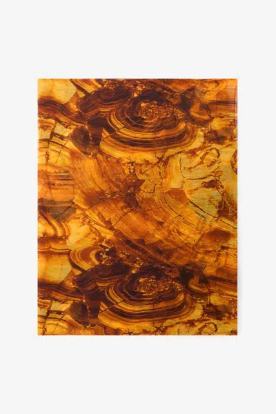 Roberto Cavalli Stole With Amber Print In Brown