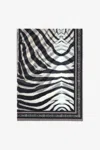 Roberto Cavalli Stole With Zebra Print In Black/white