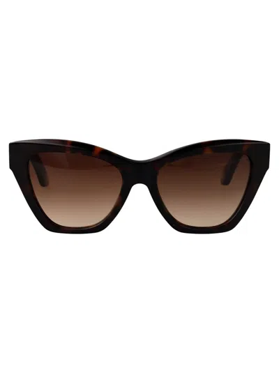 Roberto Cavalli Sunglasses