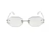 Roberto Cavalli Sunglasses In Silver